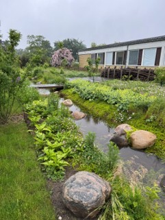 Brøndby Biodiversitet3