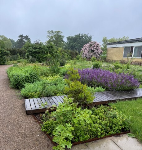 Brøndby Biodiversitet5