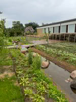 Biodiversitetspark Brøndby Rådhus
