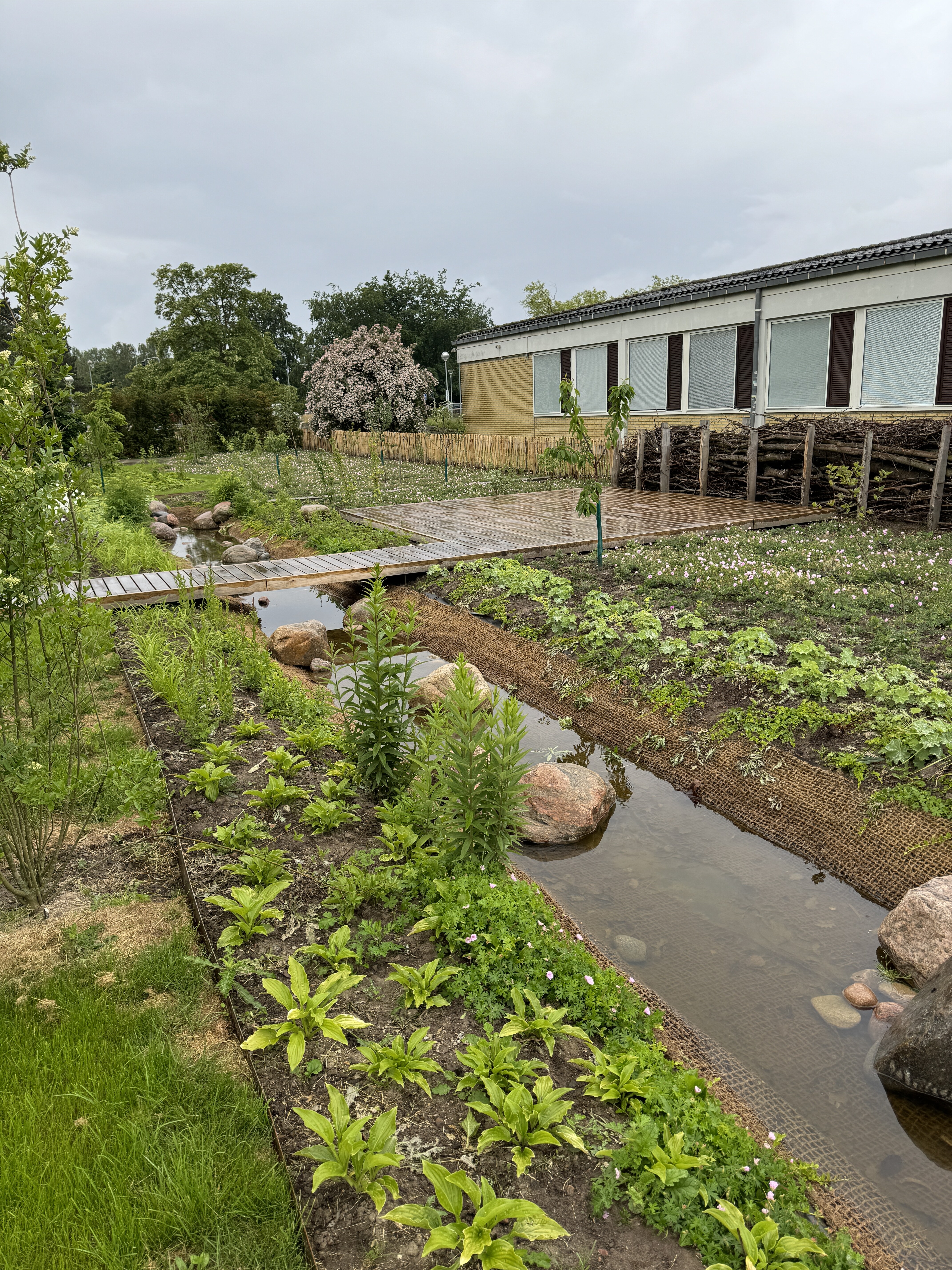 Biodiversitetspark Brøndby Rådhus