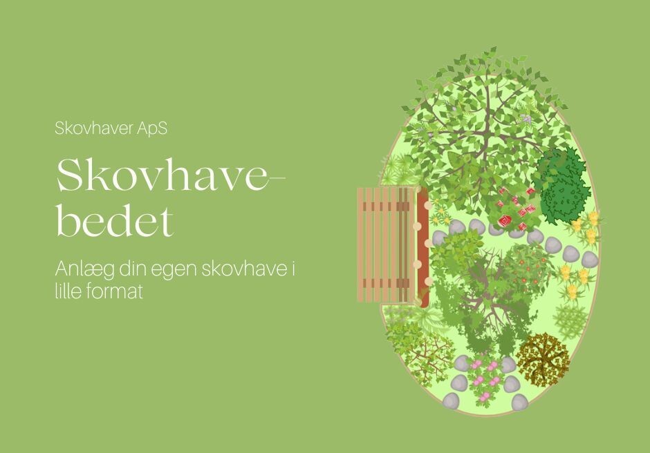 Skovhave-bedet-1 Skovhave-bedet-1